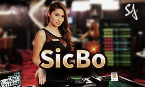 333bet2 x game cassino Jogue online